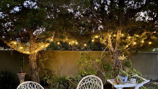 Een terras met rieten stoelen en een kleine tafel, omgeven door potplanten en een boom met lichtjes.