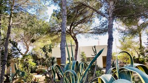 Een tuin met cactussen en bomen, een gebouw met een plat dak, en een heldere lucht.