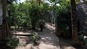 Un sendero estrecho bordeado por exuberante vegetación y palmeras, que conduce a un edificio con pared de ladrillo.