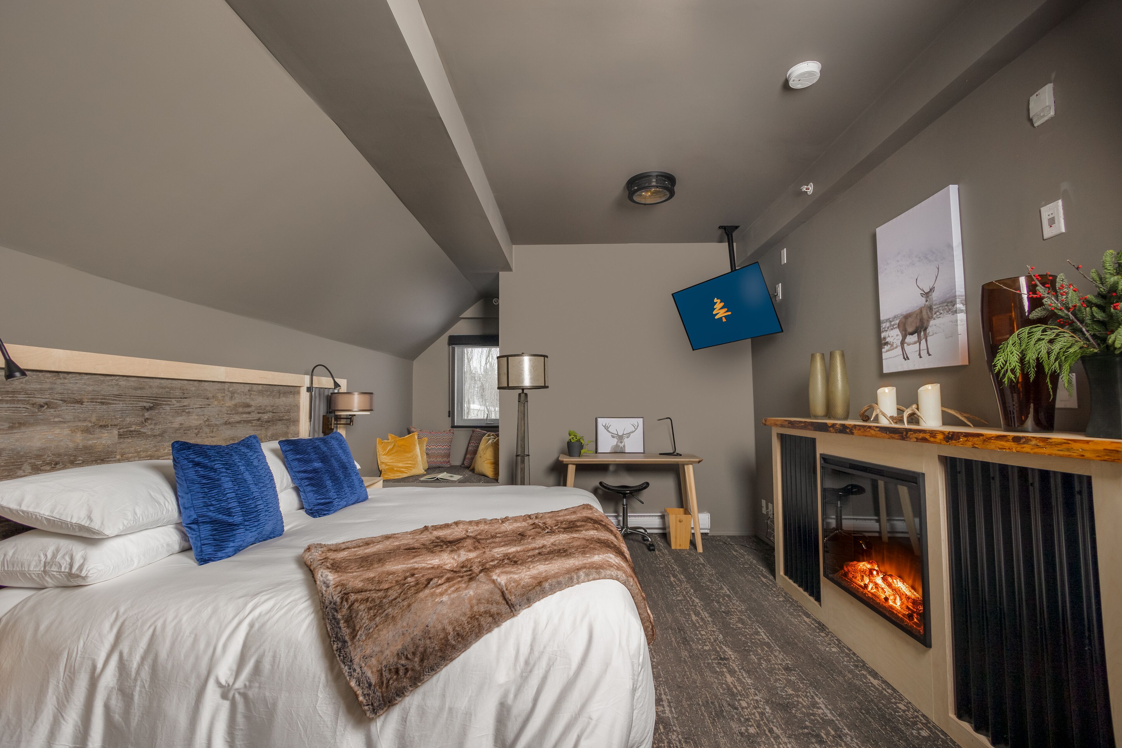 プレミア スタジオスイート キングベッド 1 台ソファーベッド付き 浴槽 | エジプト綿のシーツ、高級寝具、羽毛の掛け布団、ピロートップベッド