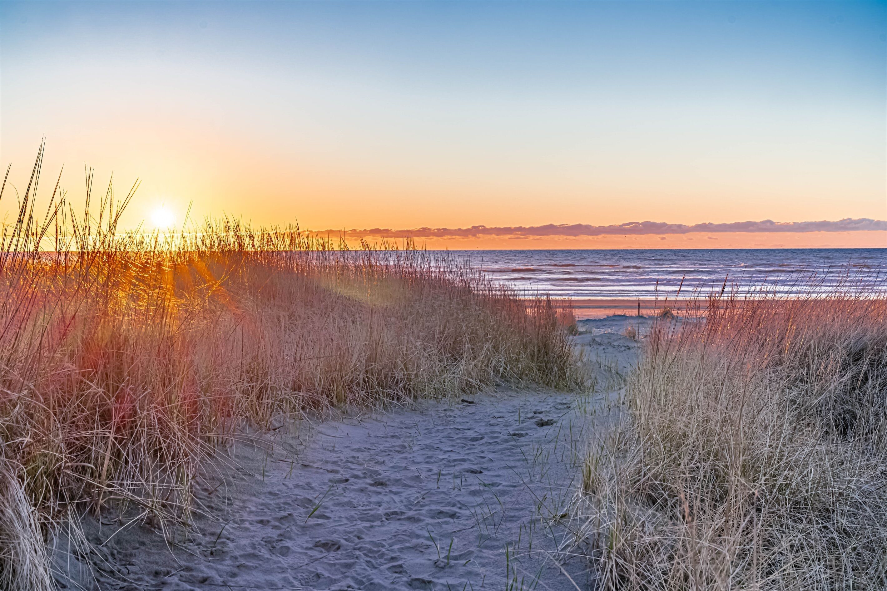 Un sentier bordé de sable et d’herbe qui mène à la mer, sous un ciel dégagé.