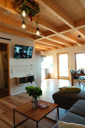 Smart TV - Main barrier-free vacation in the vineyard (Kitzingen)