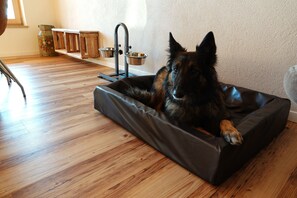 Interior - Main barrier-free vacation in the vineyard (Kitzingen)