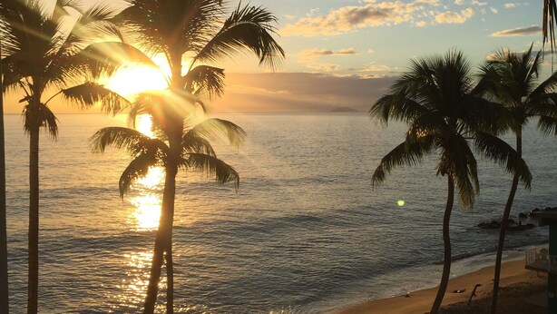 A beach with palm trees and the sun setting over the ocean. - 4 Bedrooms,5 beds, 3 Full bathrooms,Sleeps up to 8 with private pool (rincon)
