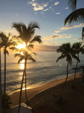 A beach with palm trees and the sun setting over the ocean. - 4 Bedrooms,5 beds, 3 Full bathrooms,Sleeps up to 8 with private pool (rincon)
