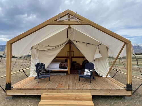 Yellowstone Dreamin Camp