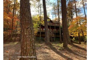 Exterior - Creekside cabin, hot tub, fire pit, wood pizza oven n grill, dogs, near Ellijay (Ranger)