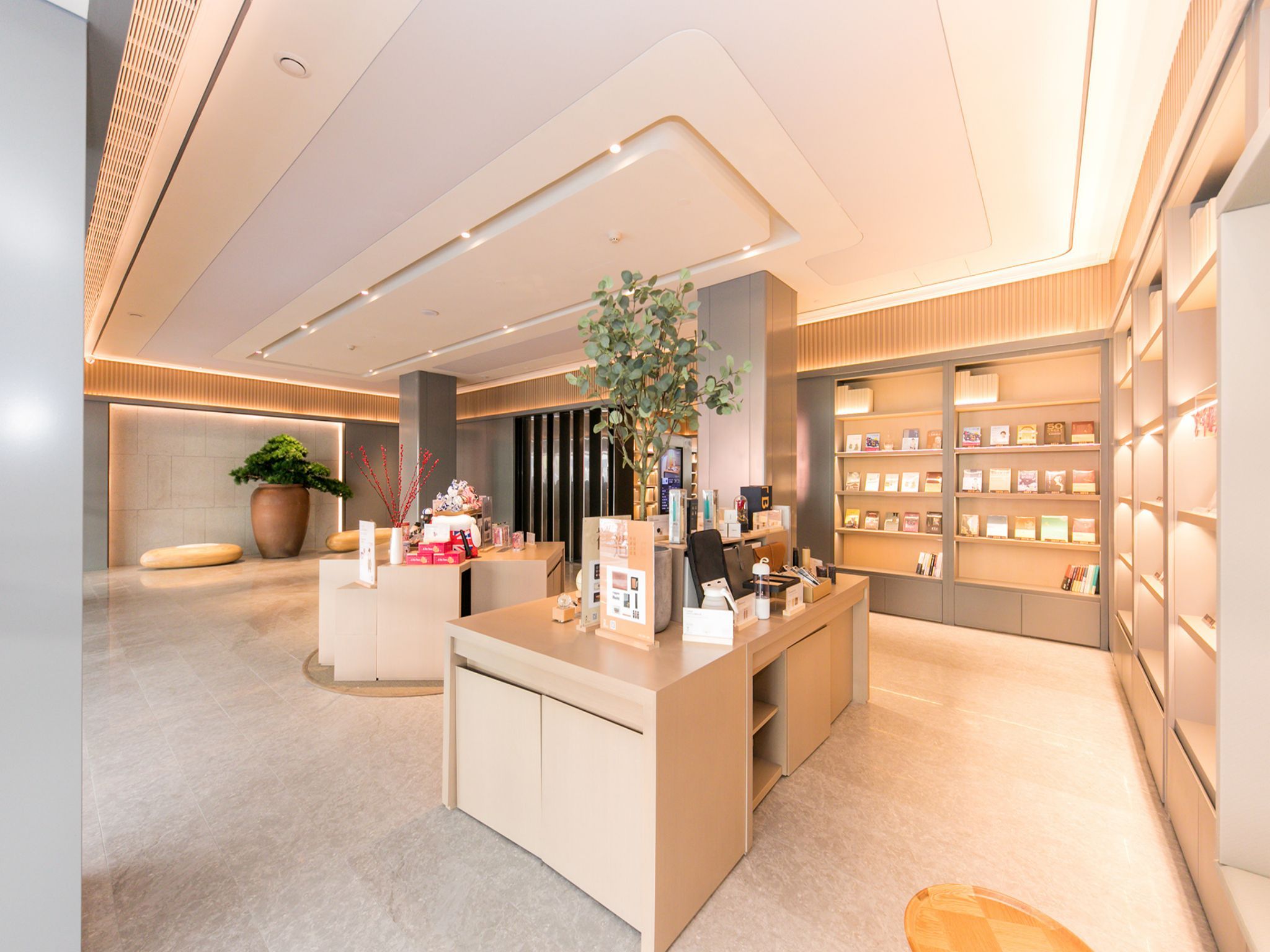 A modern, well-lit reception area with a central desk, a large potted plant, and a bookshelf filled with books and magazines.