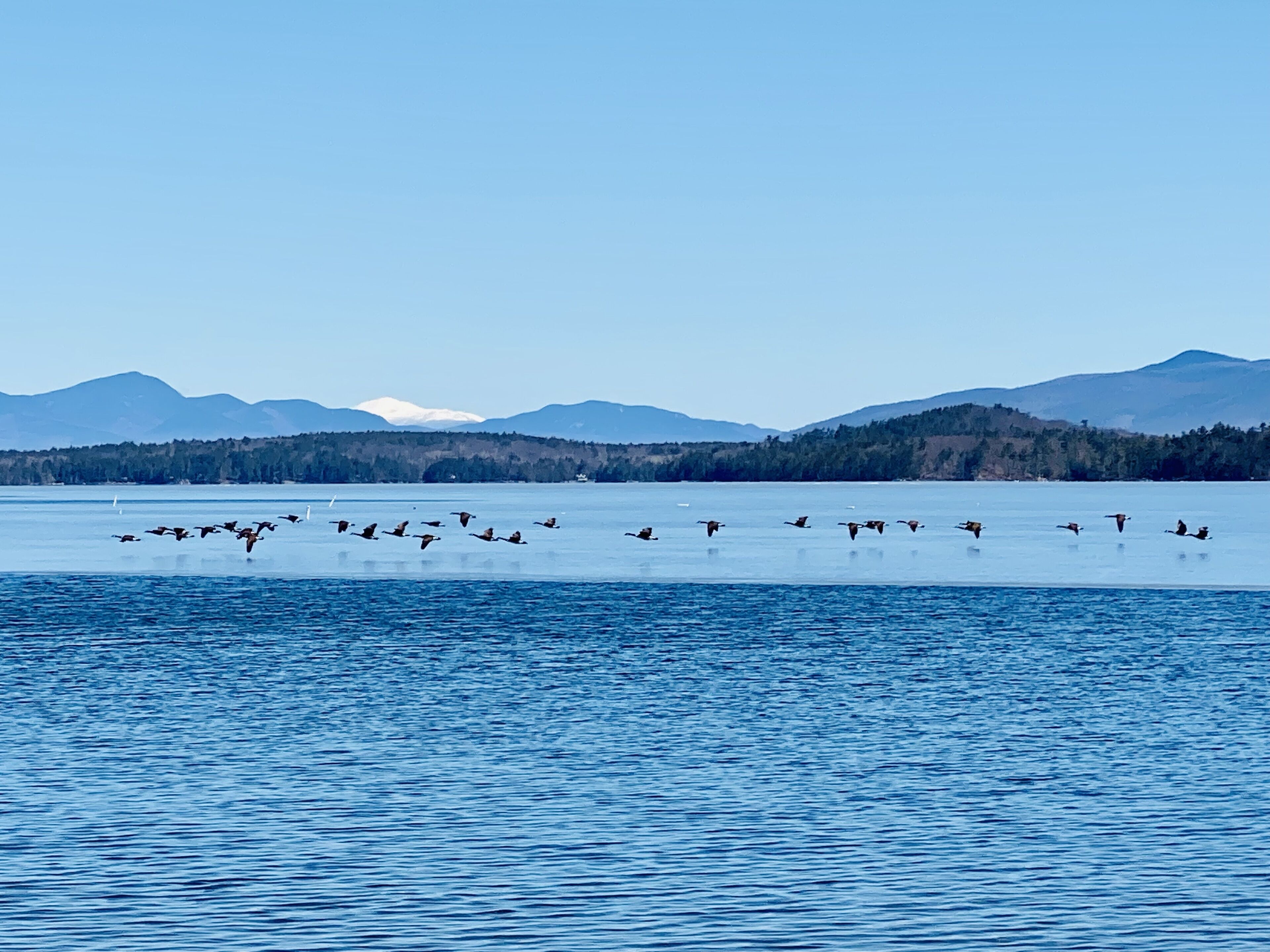 Solsenger og strandhåndklær