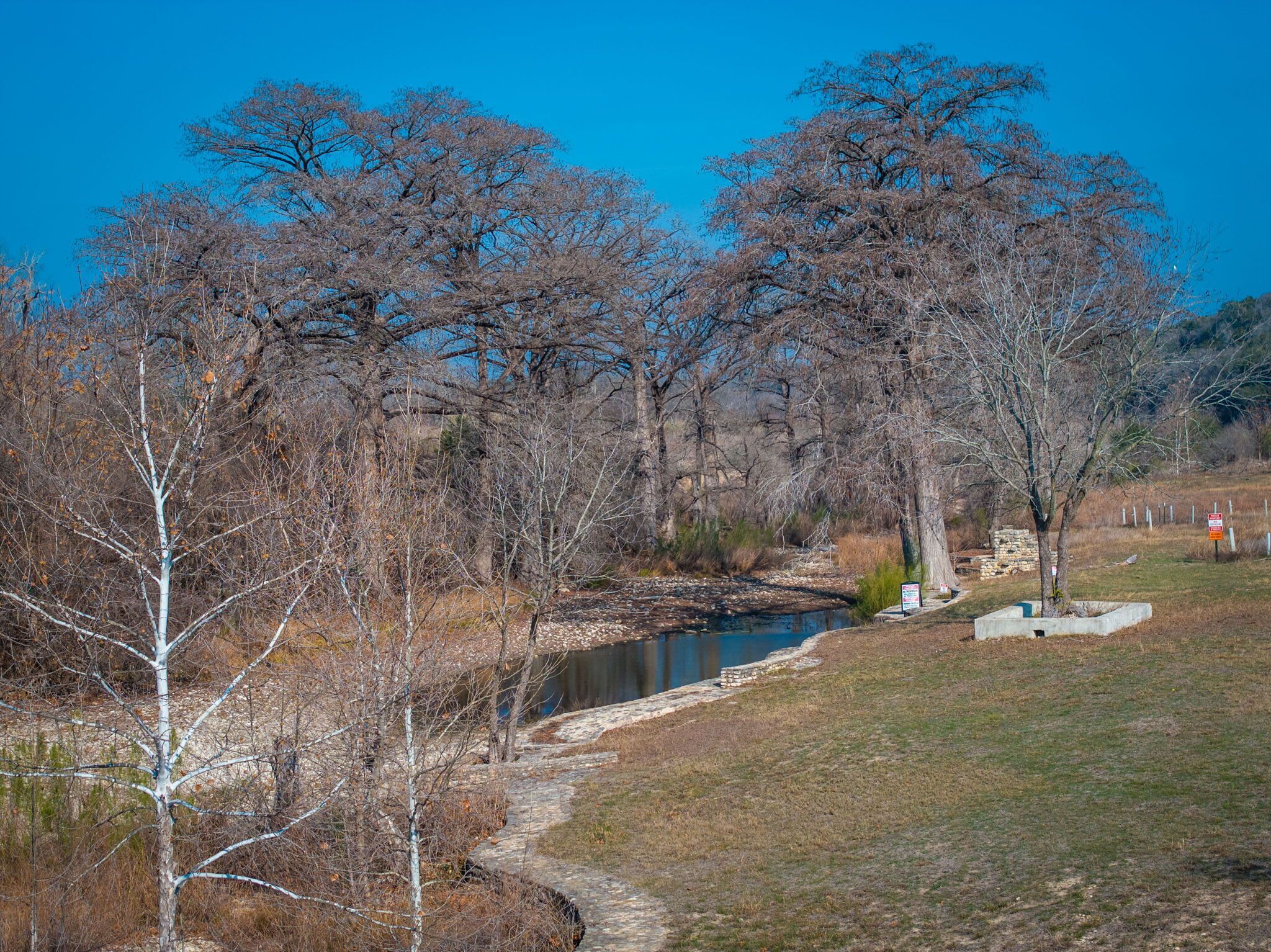 Un paisaje natural con un pequeño arroyo, árboles y un sendero de piedra.
