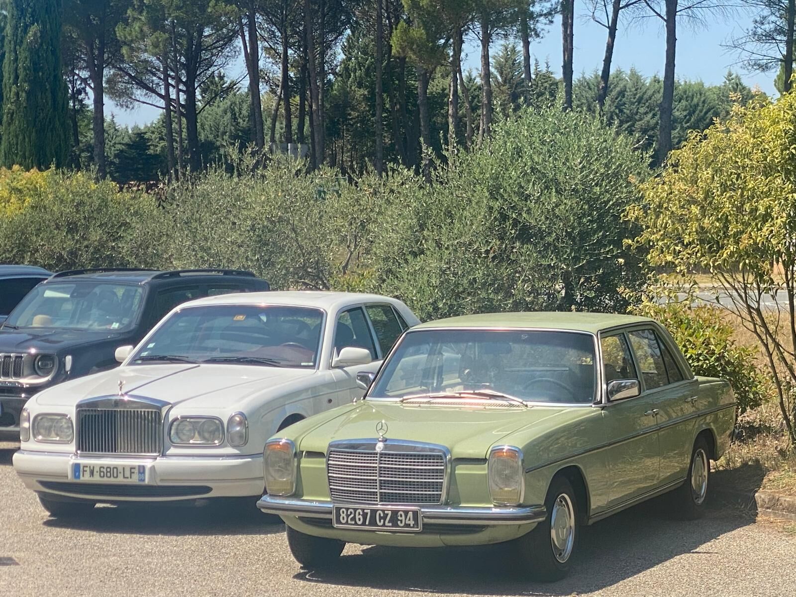 Eine Reihe klassischer Autos steht auf einem Parkplatz, im Hintergrund Bäume und Grünpflanzen.