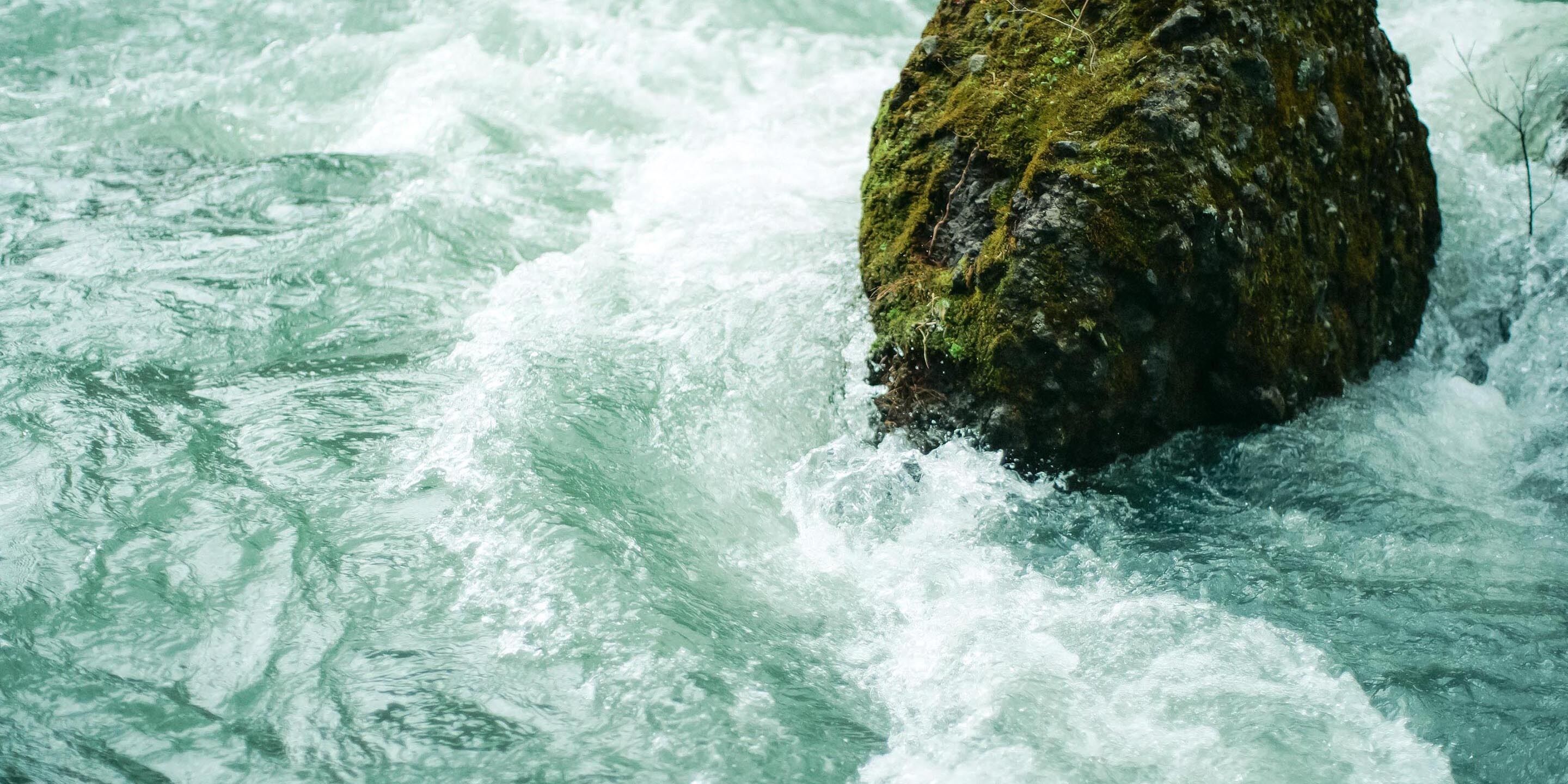 A close-up of a turbulent river with a moss-covered rock in the center.