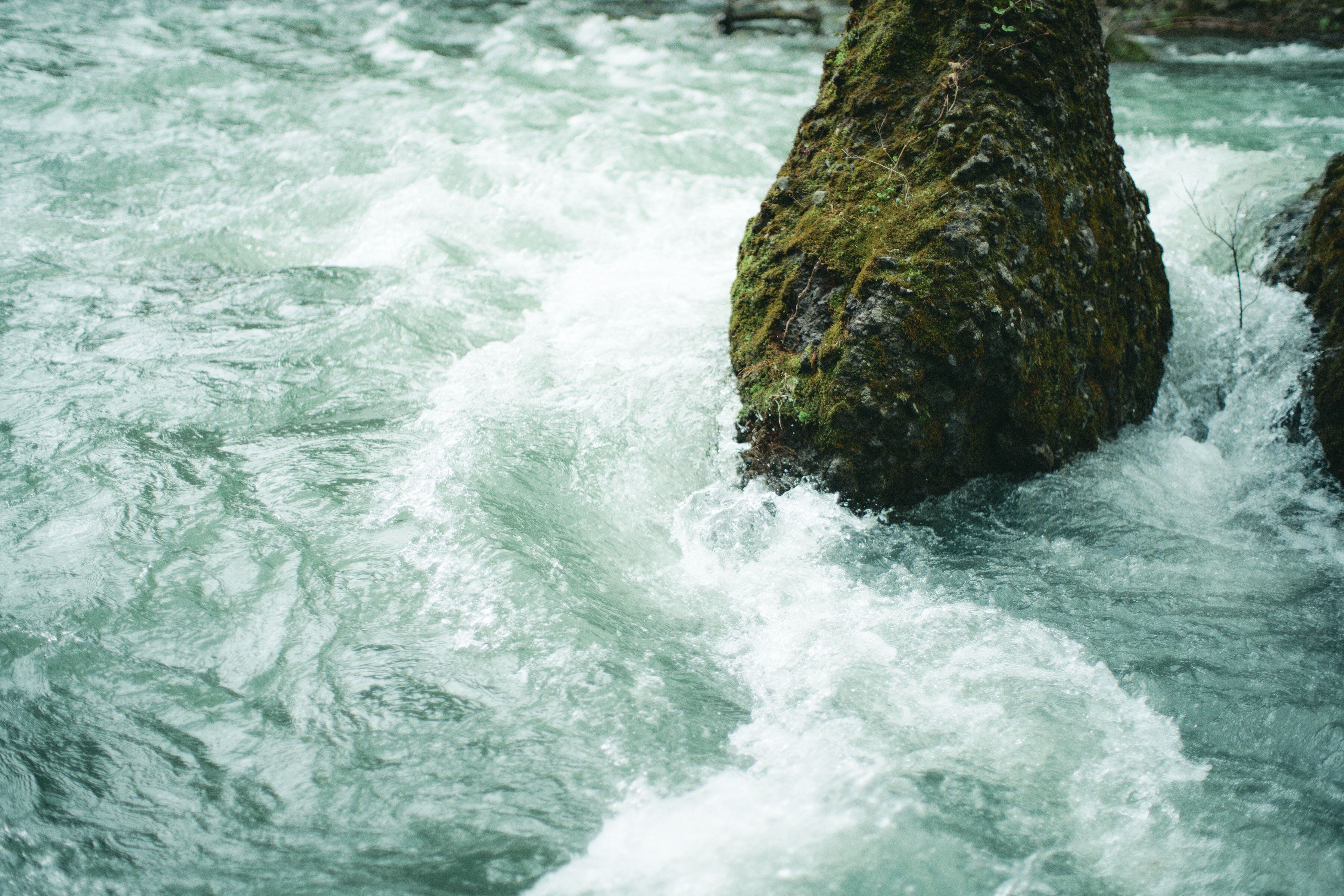 Primer plano de un río turbulento con rocas cubiertas de musgo.