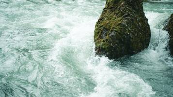 Primer plano de un río turbulento con rocas cubiertas de musgo.