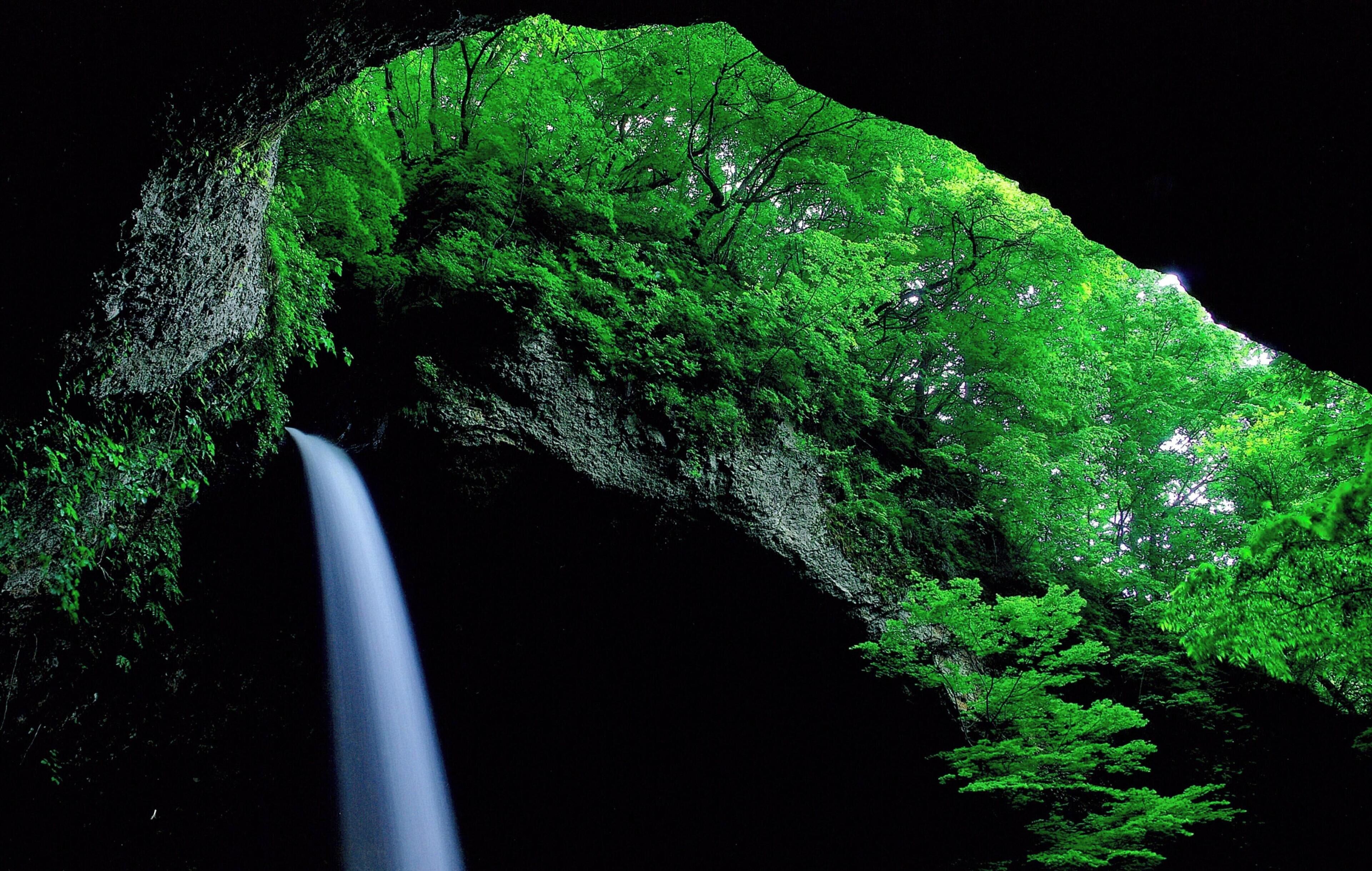 Una cascada fluye entre un bosque frondoso y verde.