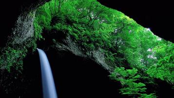 Una cascada fluye entre un bosque frondoso y verde.