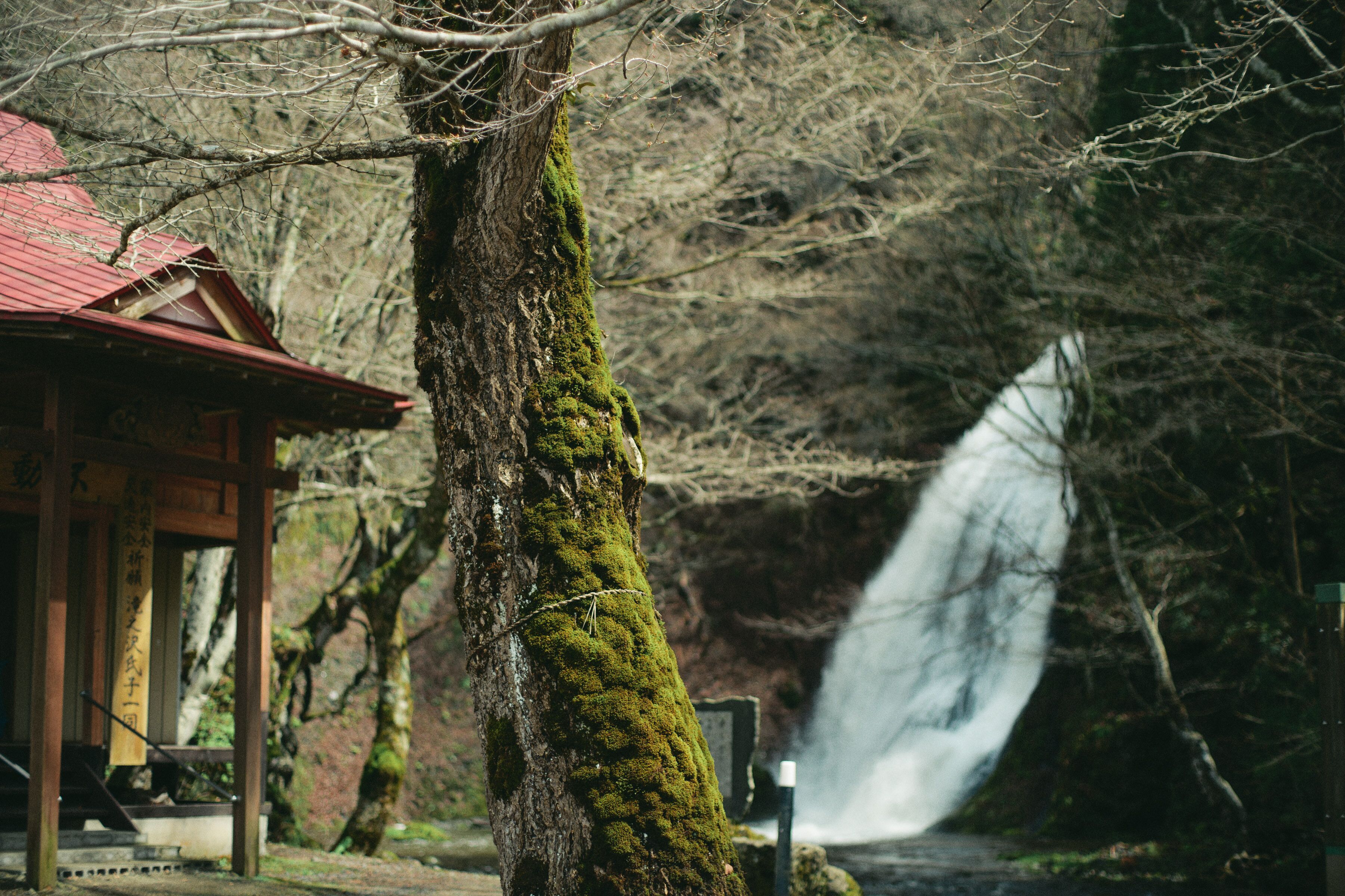 City view from property