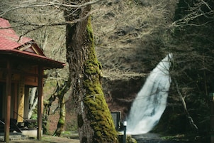Un edificio japonés tradicional con techo rojo, un árbol cubierto de musgo y una cascada al fondo.