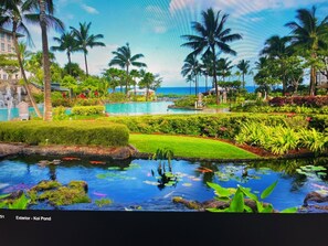 Property grounds - Discounted RATE - 699 for Westin Nanea 2-bedroom villa! (Lahaina)