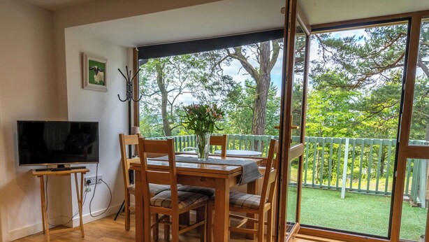 Un comedor con una mesa y sillas de madera, un televisor sobre un mueble bajo, y vistas a un jardín verde a través de ventanas amplias.