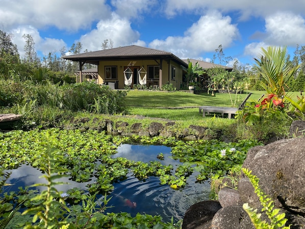 Property grounds - Private guest house on gorgeous tropical 3 acre estate perfect central location. (Keaau)