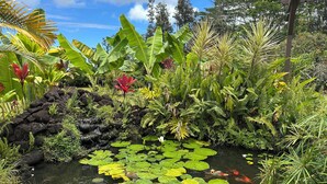 Un jardín con un estanque, abundante vegetación y una pequeña cascada.