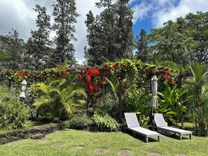 Overnattingsstedets uteområder