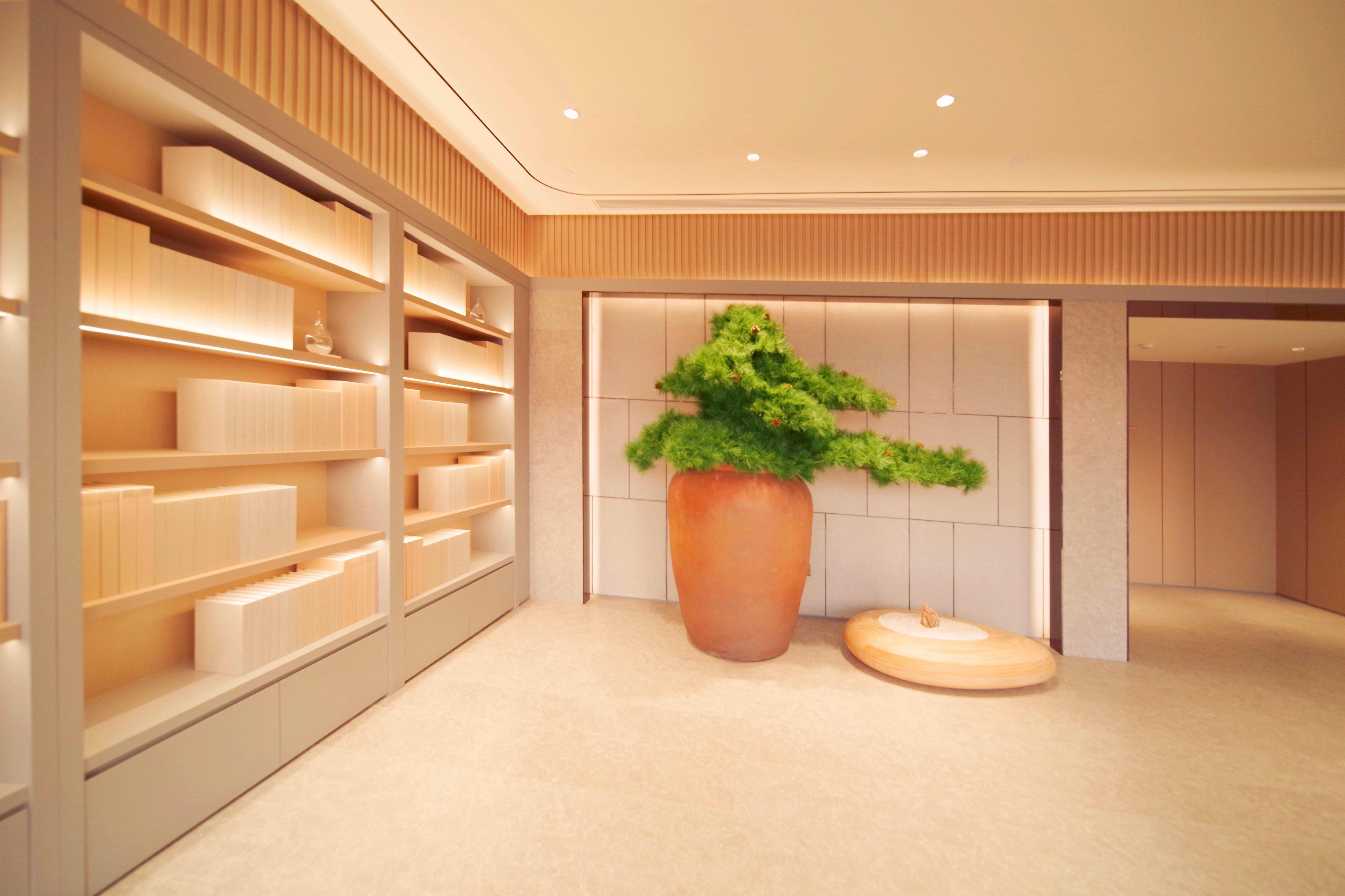 Un interior moderno con una planta grande en maceta, estantes con objetos ordenados y un diseño limpio y minimalista.