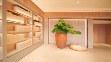 Un interior moderno con una planta grande en maceta, estantes con objetos ordenados y un diseño limpio y minimalista.