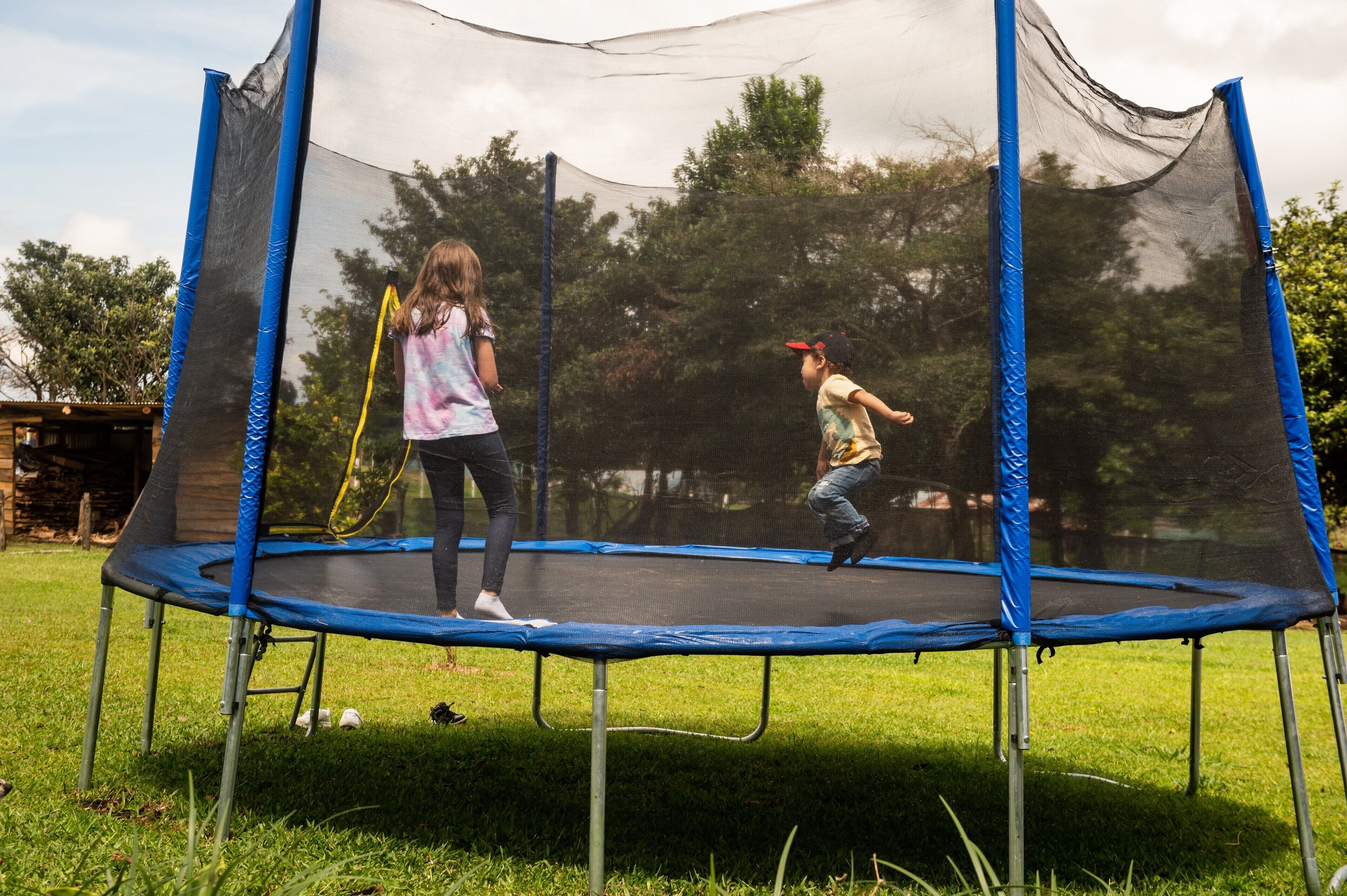 Un trampolín en un área verde con árboles al fondo.