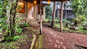 A rustic wooden cabin with a brick pathway leading to the entrance, surrounded by lush greenery and a stone wall. - Hotel & Spa El Escondite de la Montaña (Sabana Redonda)