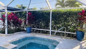 Une piscine surmontée d’un auvent blanc, entourée de plantes en pot et d’une haie.