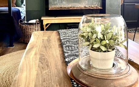 A living room with a fireplace, a television, and a wooden table with a glass dome containing a plant.