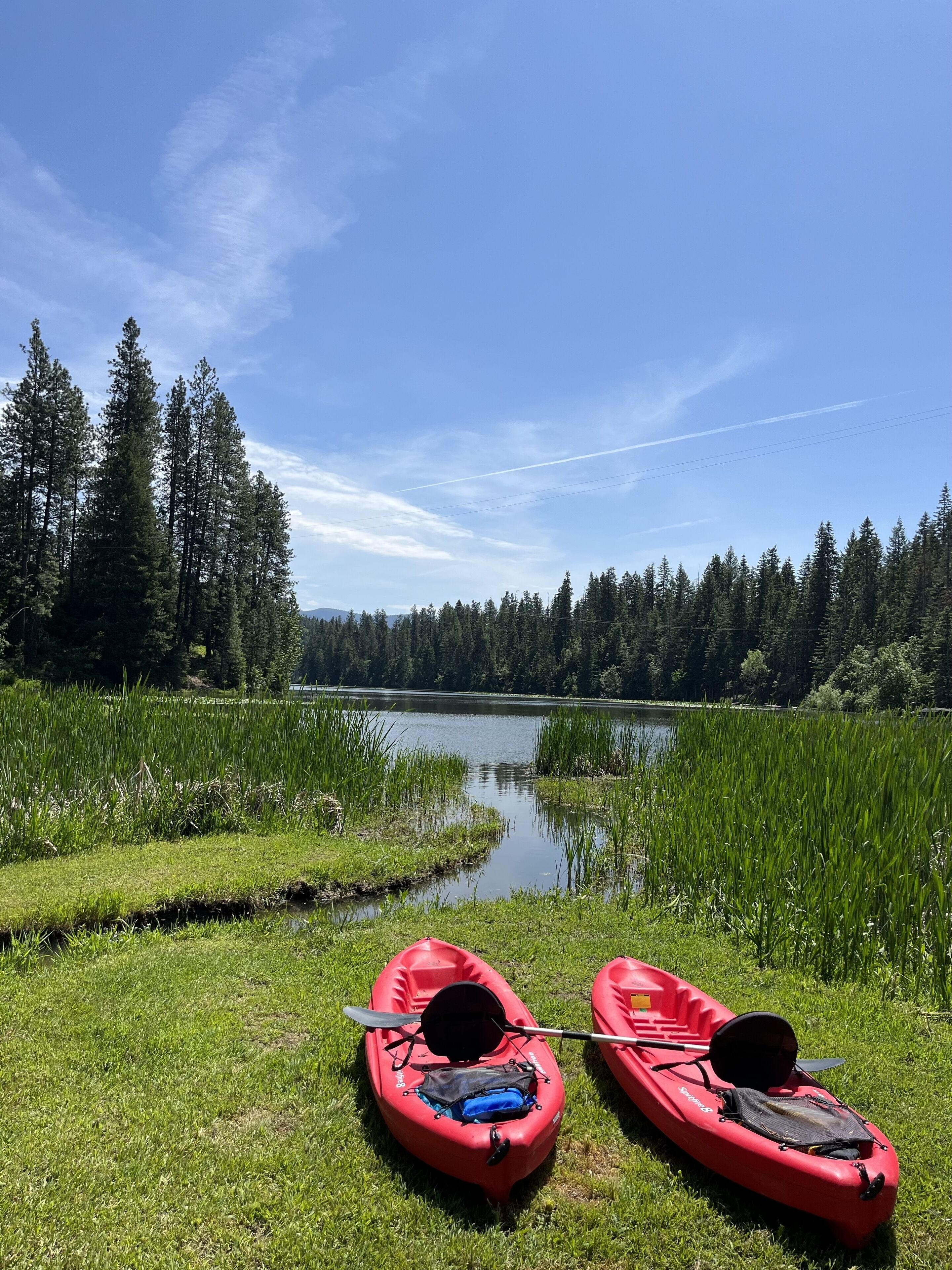 Dos kayaks rojos sobre una orilla cubierta de hierba, con un lago y un bosque al fondo.