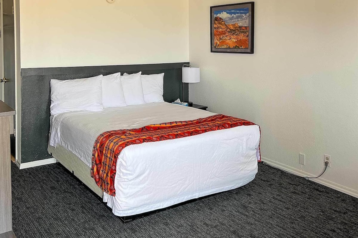 Habitació individual | Cortines opaques, wifi gratuïta i roba de llit