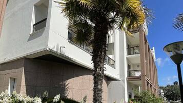 Un bâtiment moderne doté de balcons, avec un palmier en premier plan.