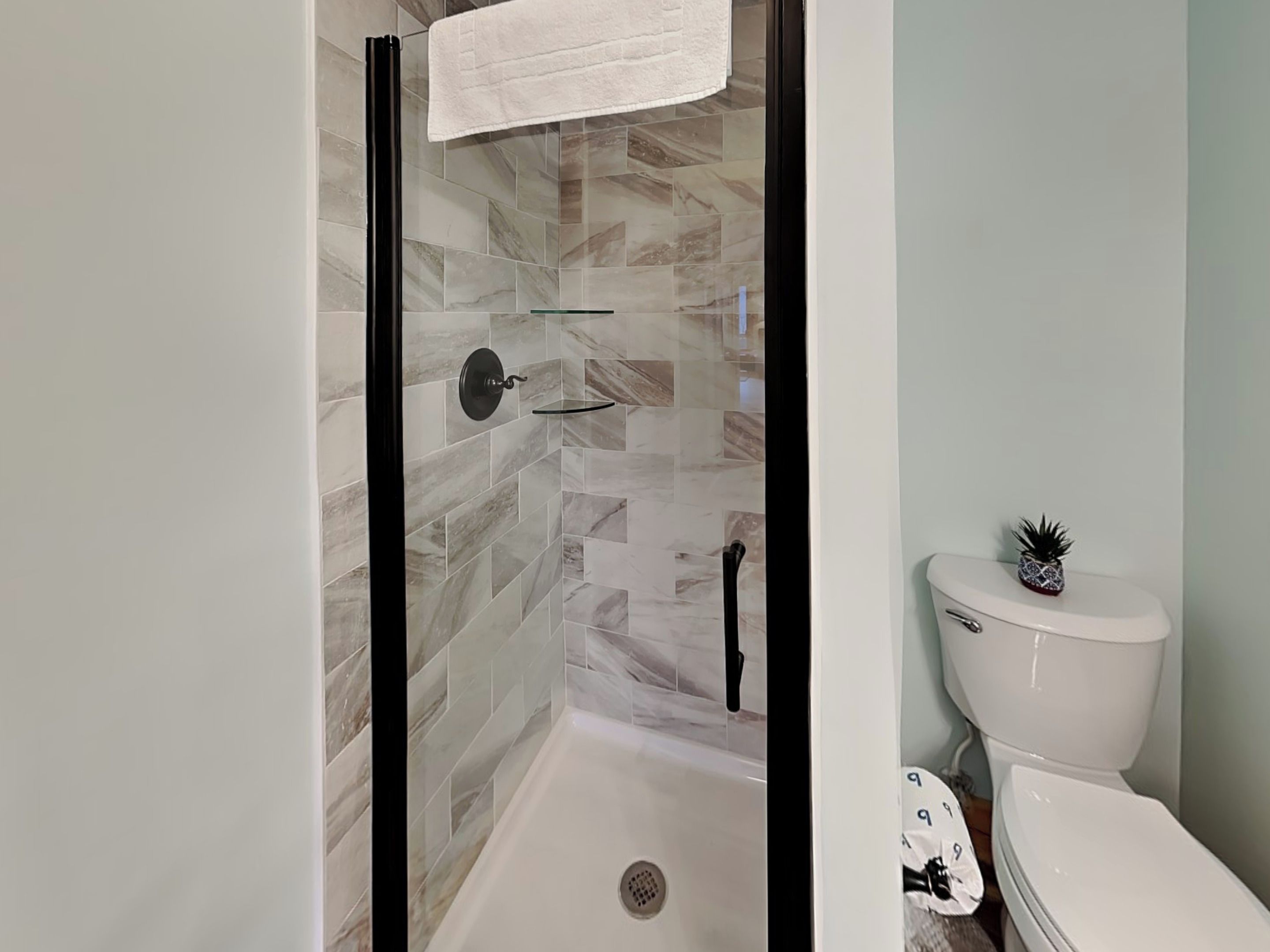 Une salle de bain avec une douche à parois de verre, des toilettes et une petite plante en pot.