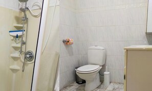 Casa de banho com sanita, chuveiro e suporte para papel higiénico.