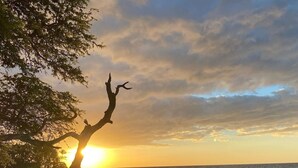 A beach with a sunset, a tree, and the ocean. - All in Japanese 🇯🇵 Located on the dry side of Waimea, the sunset and the wonderful sea view (Kamuela)