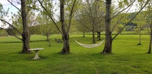 Área da propriedade