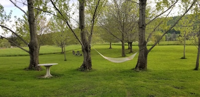 Chittenango Falls: Luxury Trailer on 6+ acres!