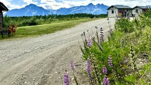 Un camino de grava que conduce a un edificio con una montaña al fondo.