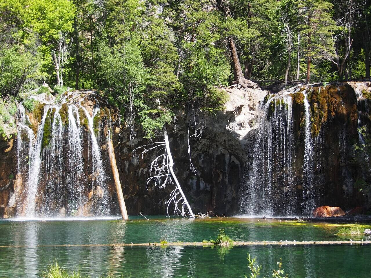 Una cascada se precipita sobre un acantilado rocoso hacia una masa de agua tranquila, rodeada de un bosque denso.
