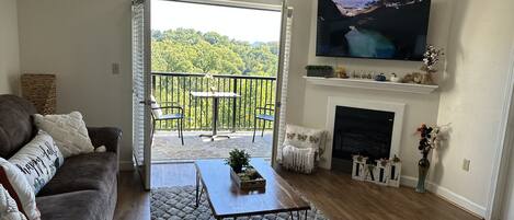 TV, fireplace