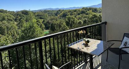 Mountain View 2 bedroom with a pool !!!