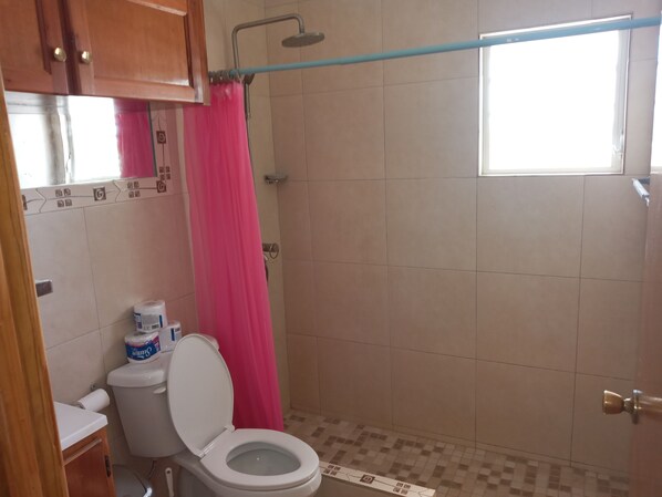 A bathroom with a toilet, a shower, and a window.