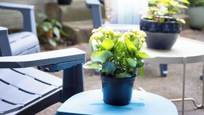 A patio area with a table, chairs, and potted plants. - Modern and clean home, quick access to attractions (Atlanta)