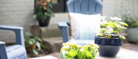 Terraza o patio