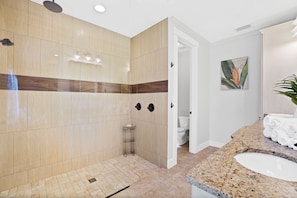 Combined shower/bathtub, hair dryer, towels