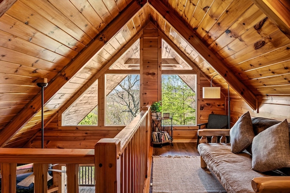 Smart TV, fireplace, books